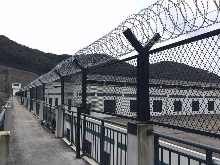 監獄圍網圖片1